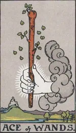 Asso delle Bacchette